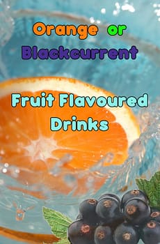 Blackcurrant Fruit Flavoured In-Cup Drinks Refills / Ingredients 7oz
