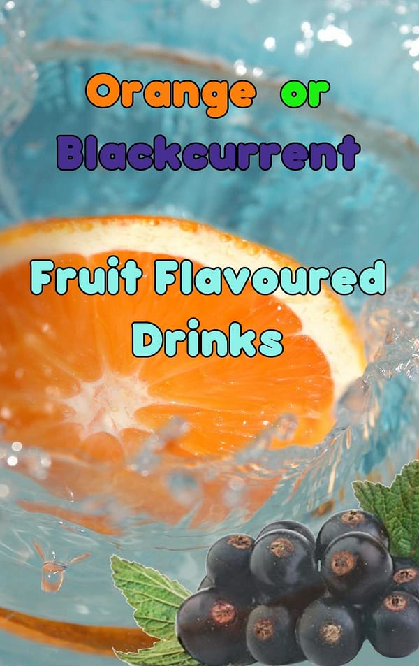 Blackcurrant Fruit Flavoured In-Cup Drinks Refills / Ingredients 7oz